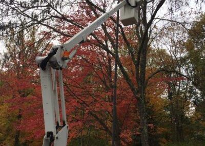 New Jersey electrician
